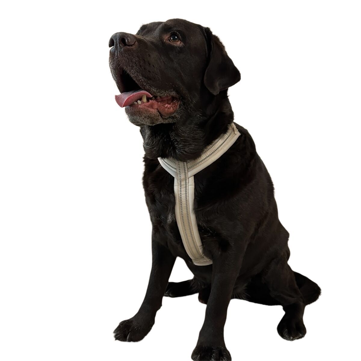 Trufois Comfy Harness Beige