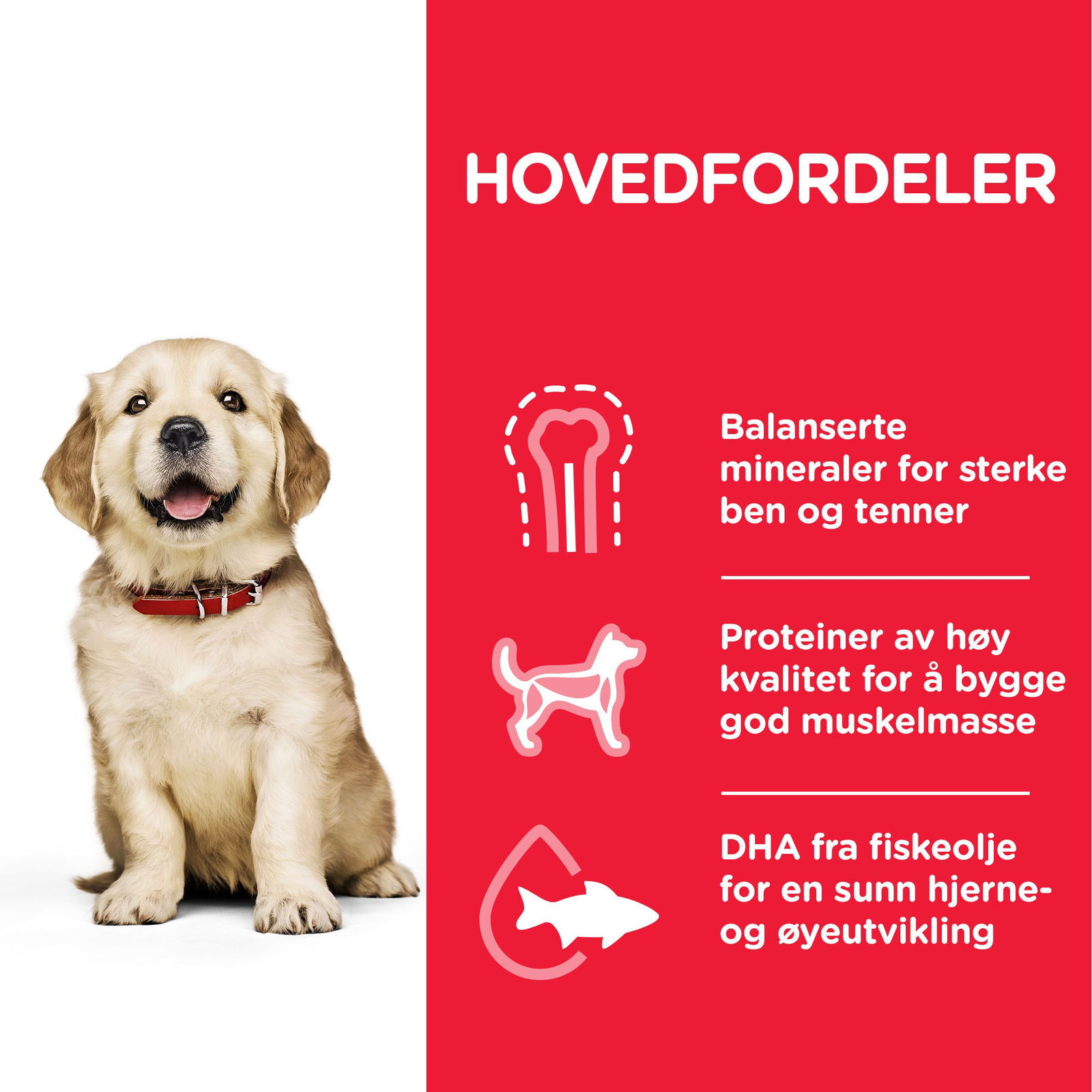 Hill's Science Plan Dog Puppy Large Breed