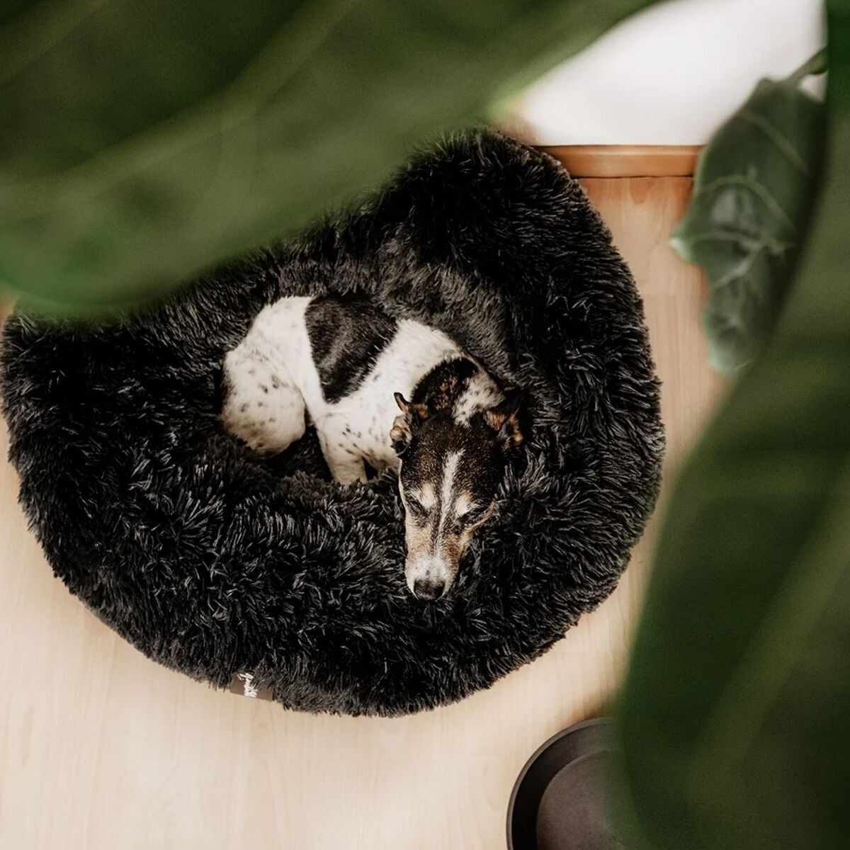 District 70 Fuzz Donut Hundeseng Mørkegrå L - Fluffy hundesenger