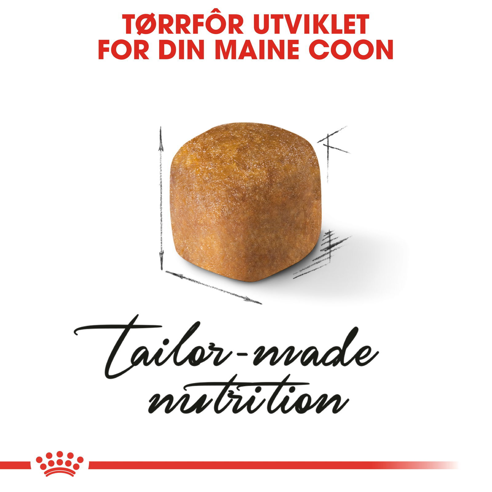 Royal Canin Maine Coon Kitten tørrfôr til kattunge