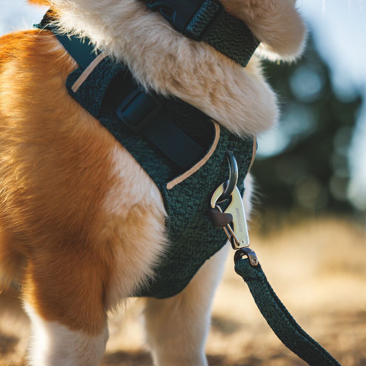 Ruffwear Front Range Flex Harness, Deep Teal