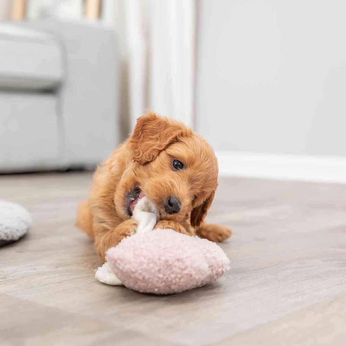 Trixie Junior Pig plush 15cm