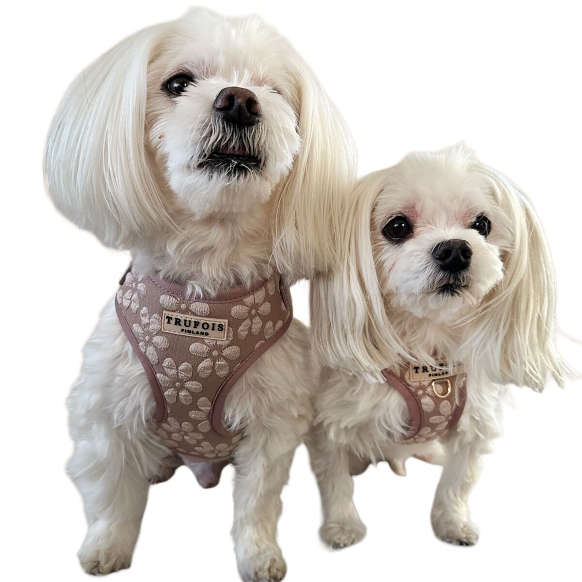 Trufois Lite Harness Chai