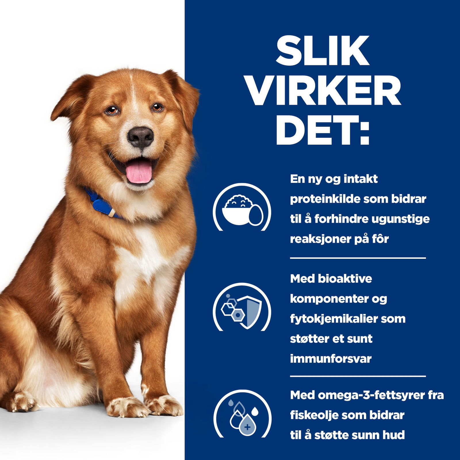 Hill's Prescription Diet Canine Derm Complete  