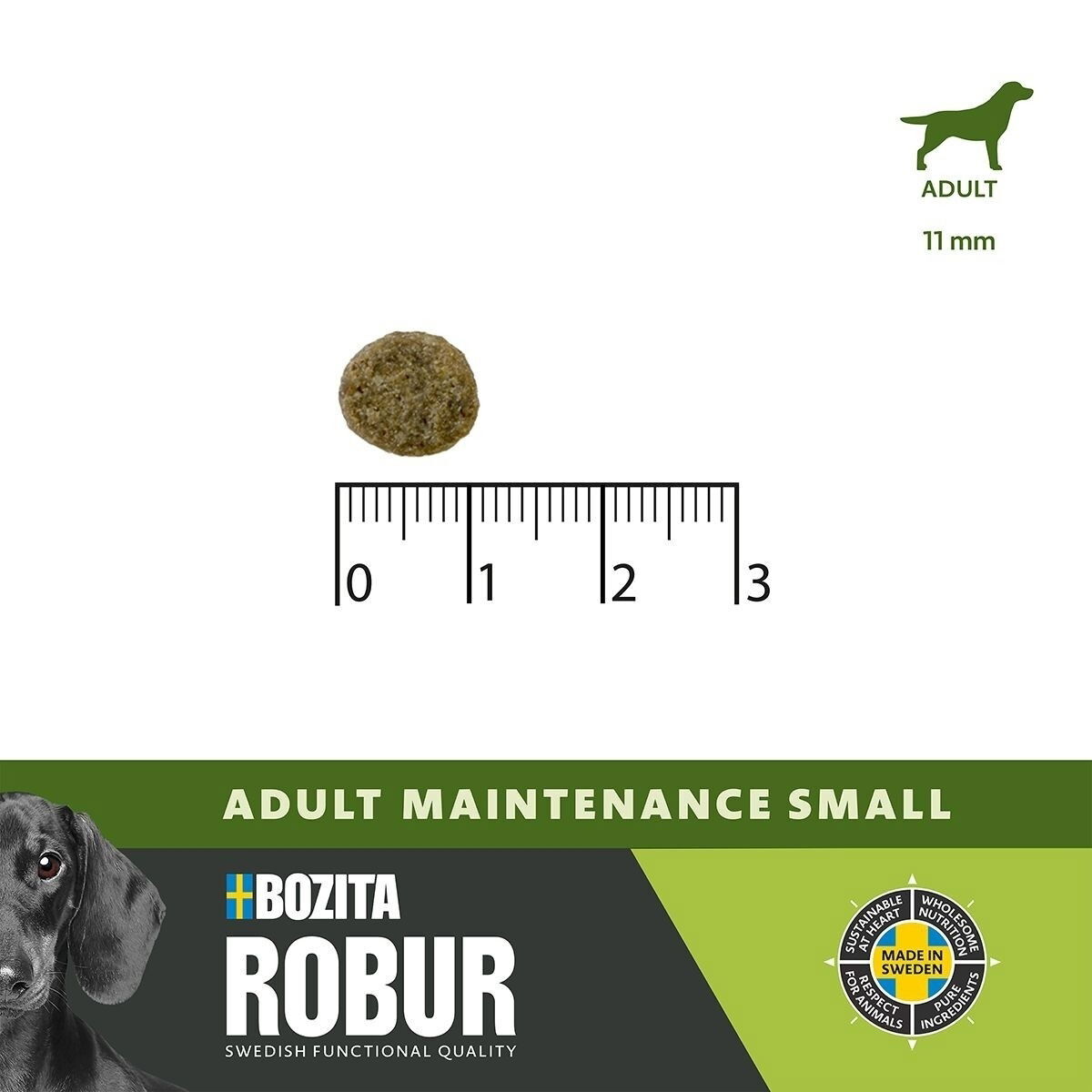 Robur Adult Maintenance Mini