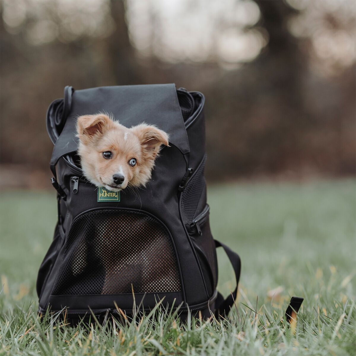 Hunter Dog Flight Bag and Backpack Miles Black
