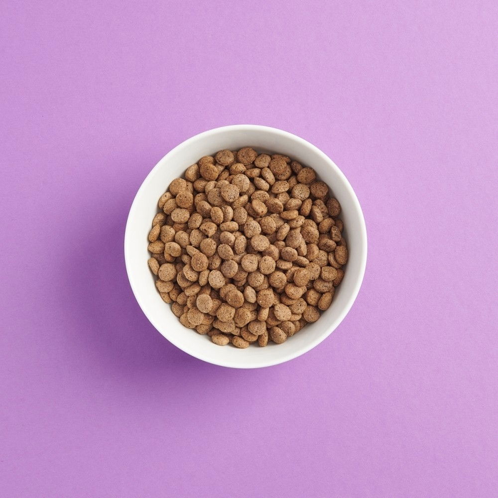 SMAAK Cat Adult GrainFree Sterilised Turkey & Pork