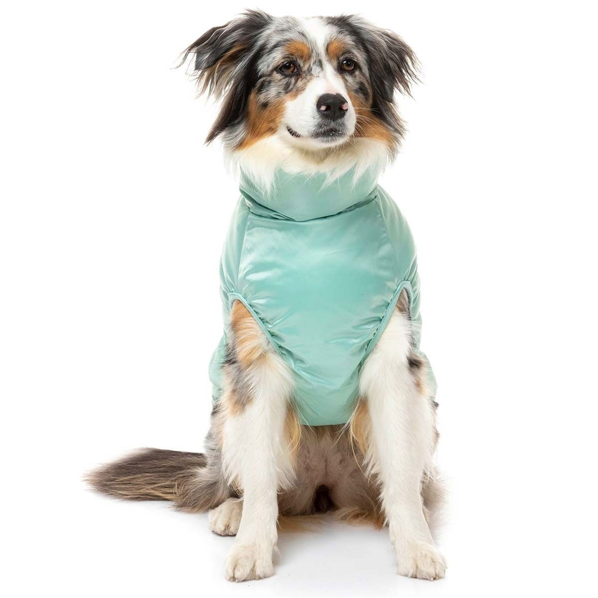 FuzzYard The Eastcoast Mint