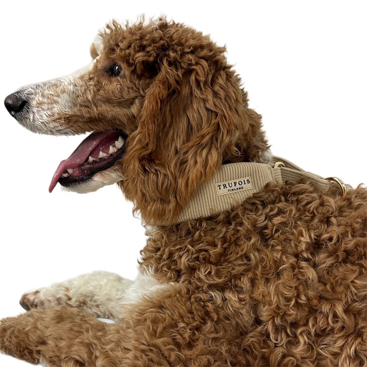 Trufois Wide Collar Latte Beige