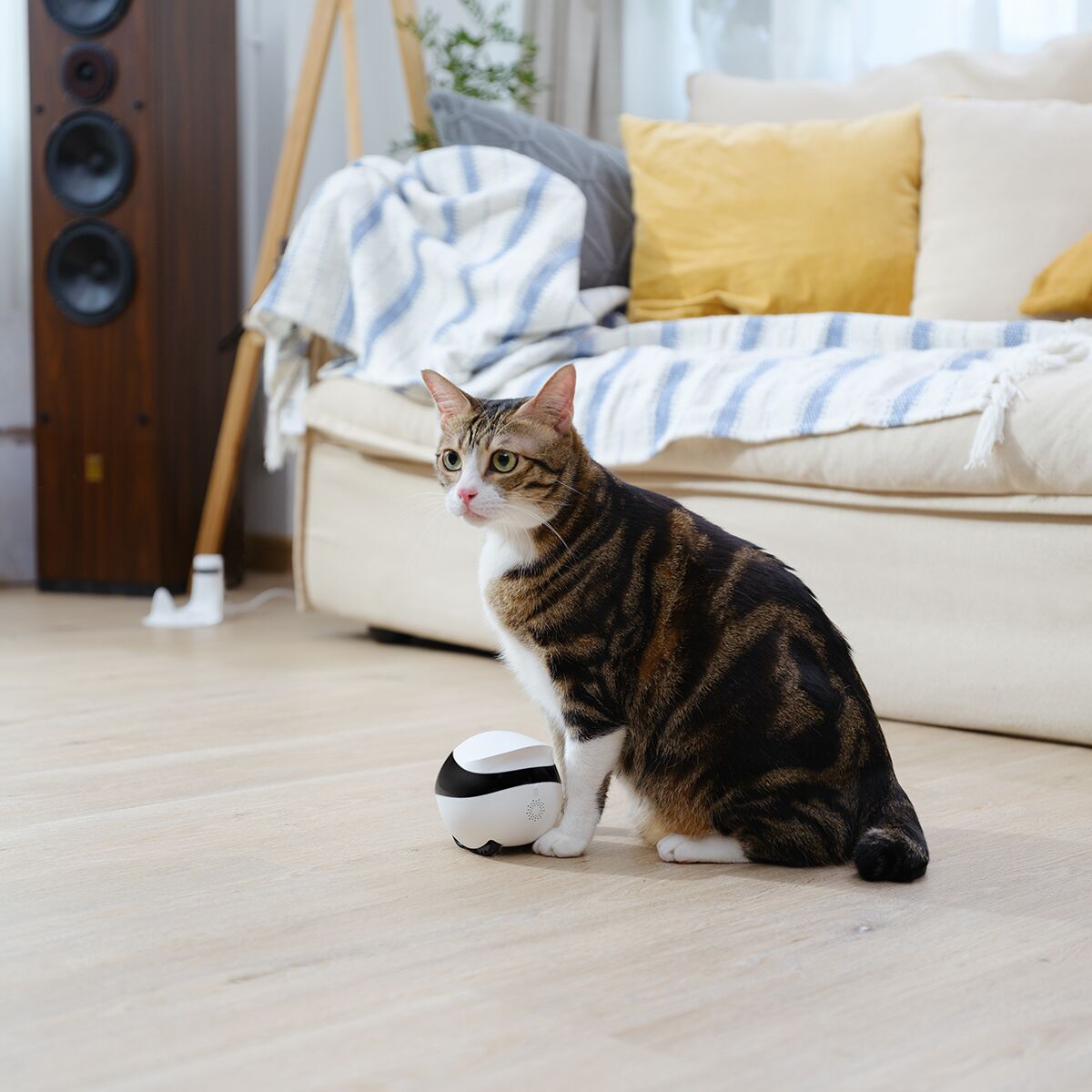 Enabot EBO SE Wireless Camera Robot