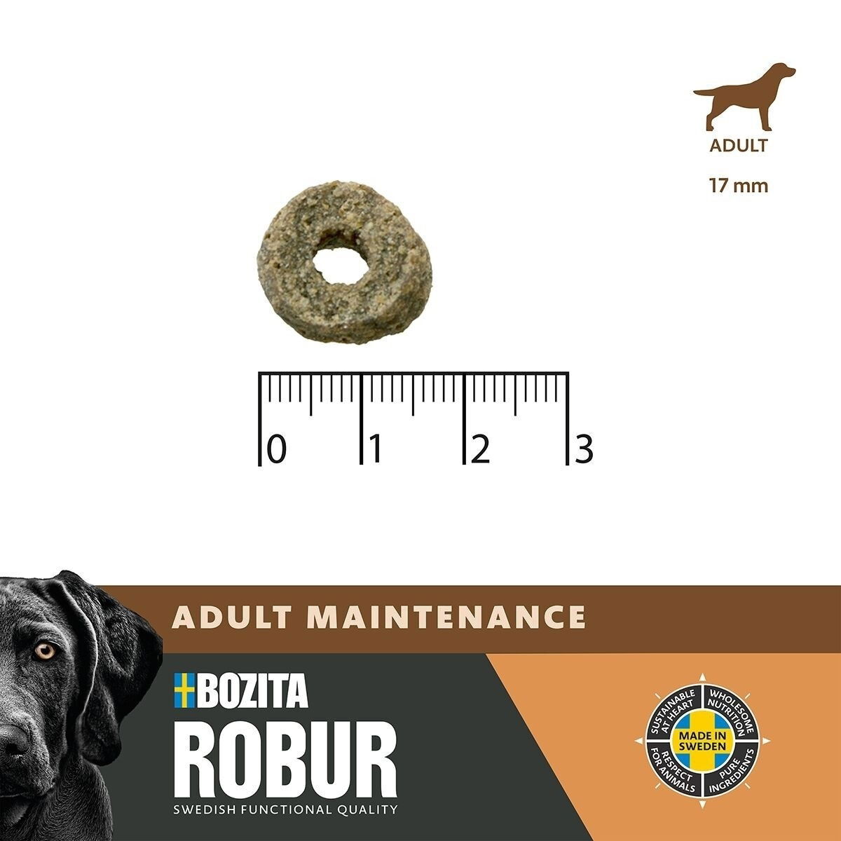 Robur Adult Maintenance