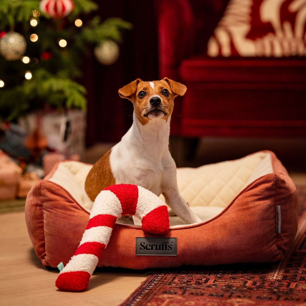 Bark-a-Boo Tufflove Holiday candycane M