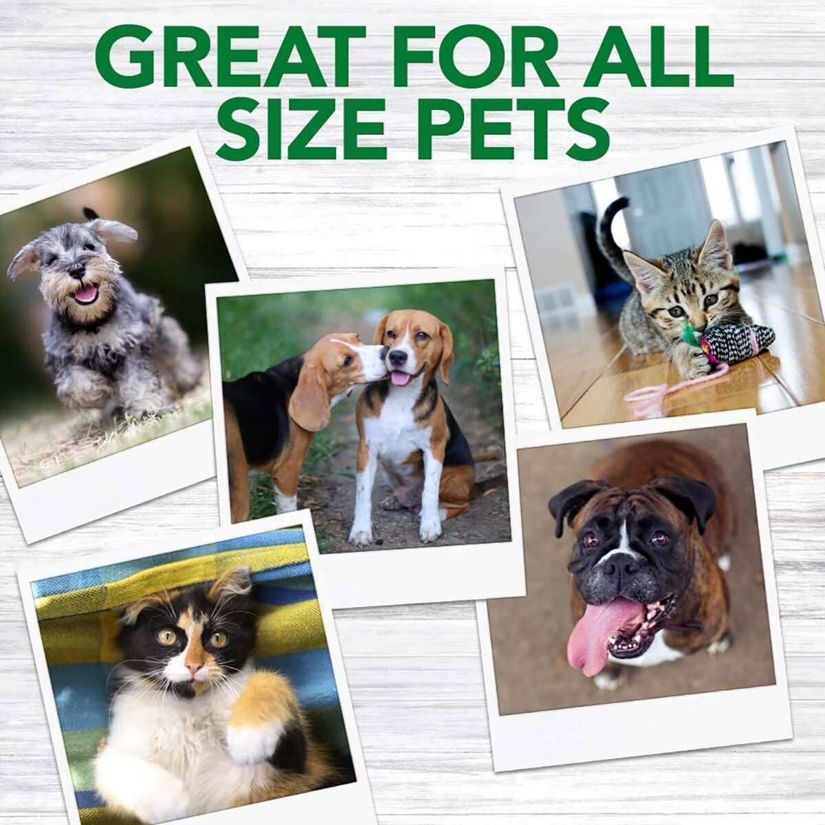 Vet's Best Triple headed Toothbrush