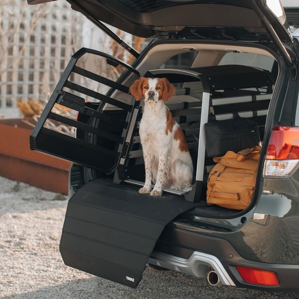 Thule Allax
