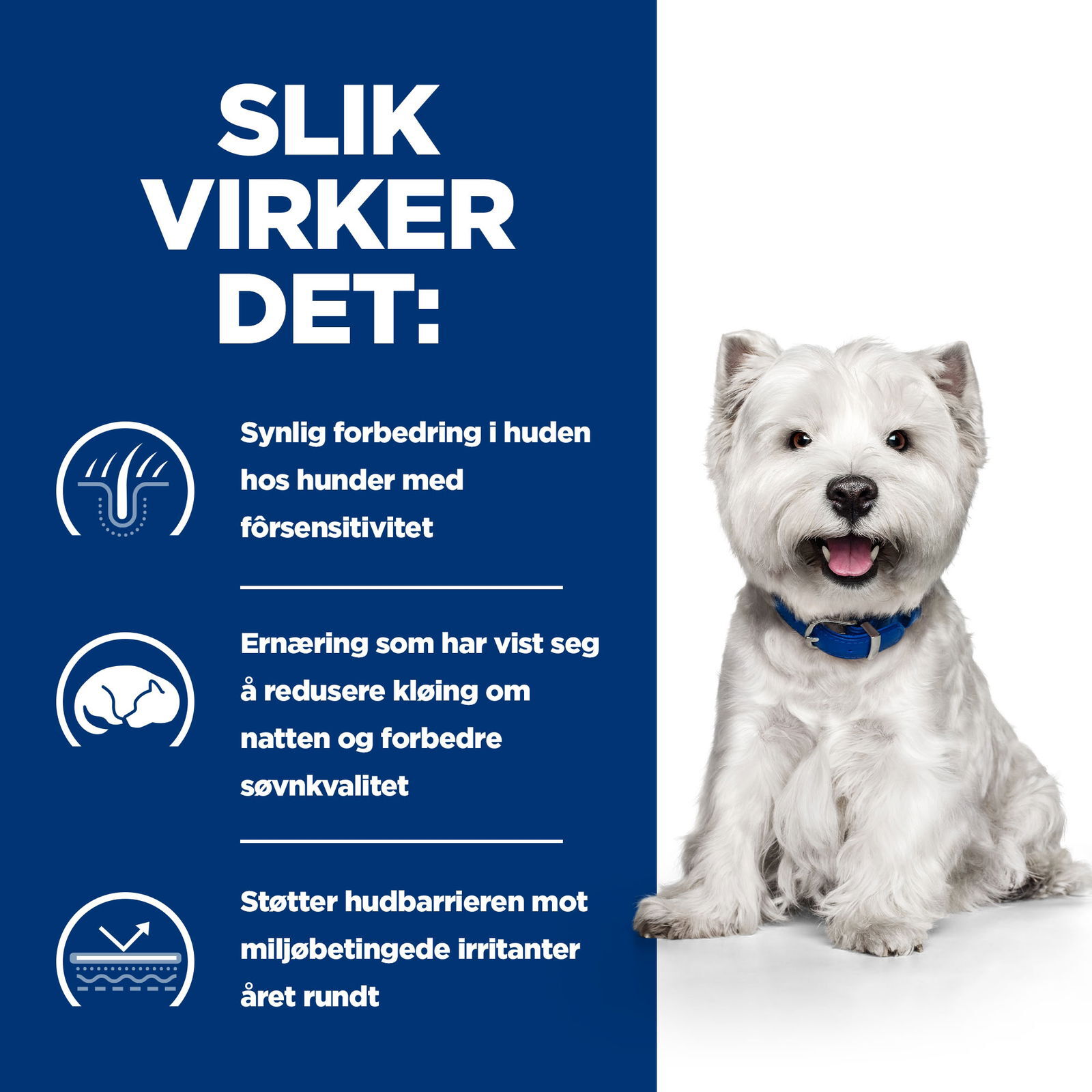 Hill's Prescription Diet Canine Derm Complete Mini 