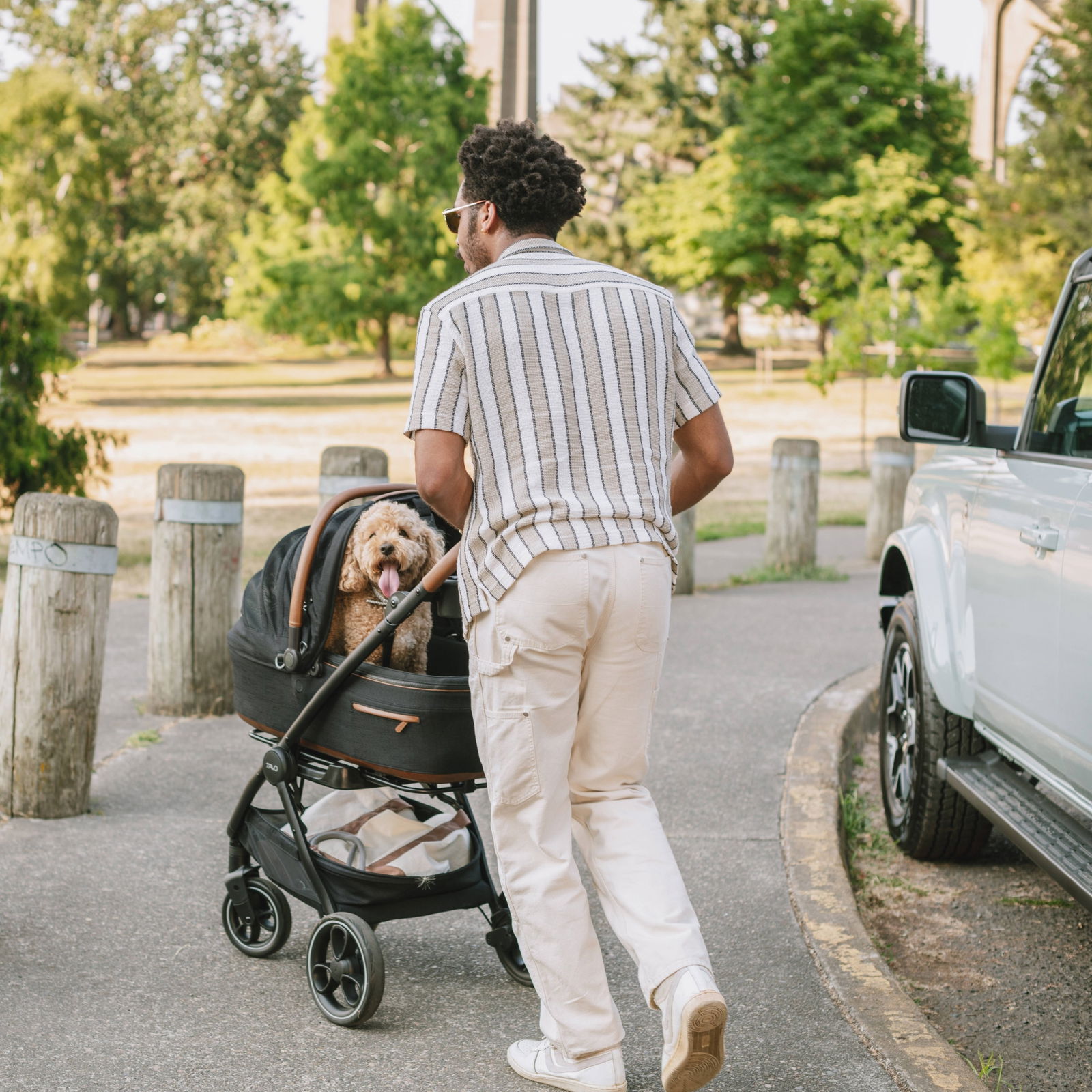 Tavo Roscoe Trek stroller frame