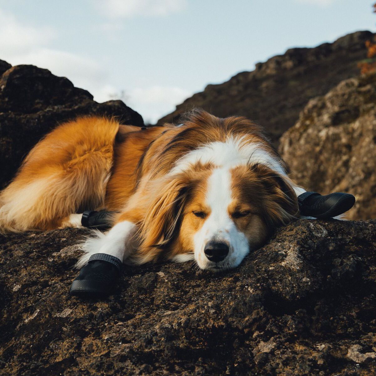 Ruffwear Ridgeline Shoes Obsidian Black