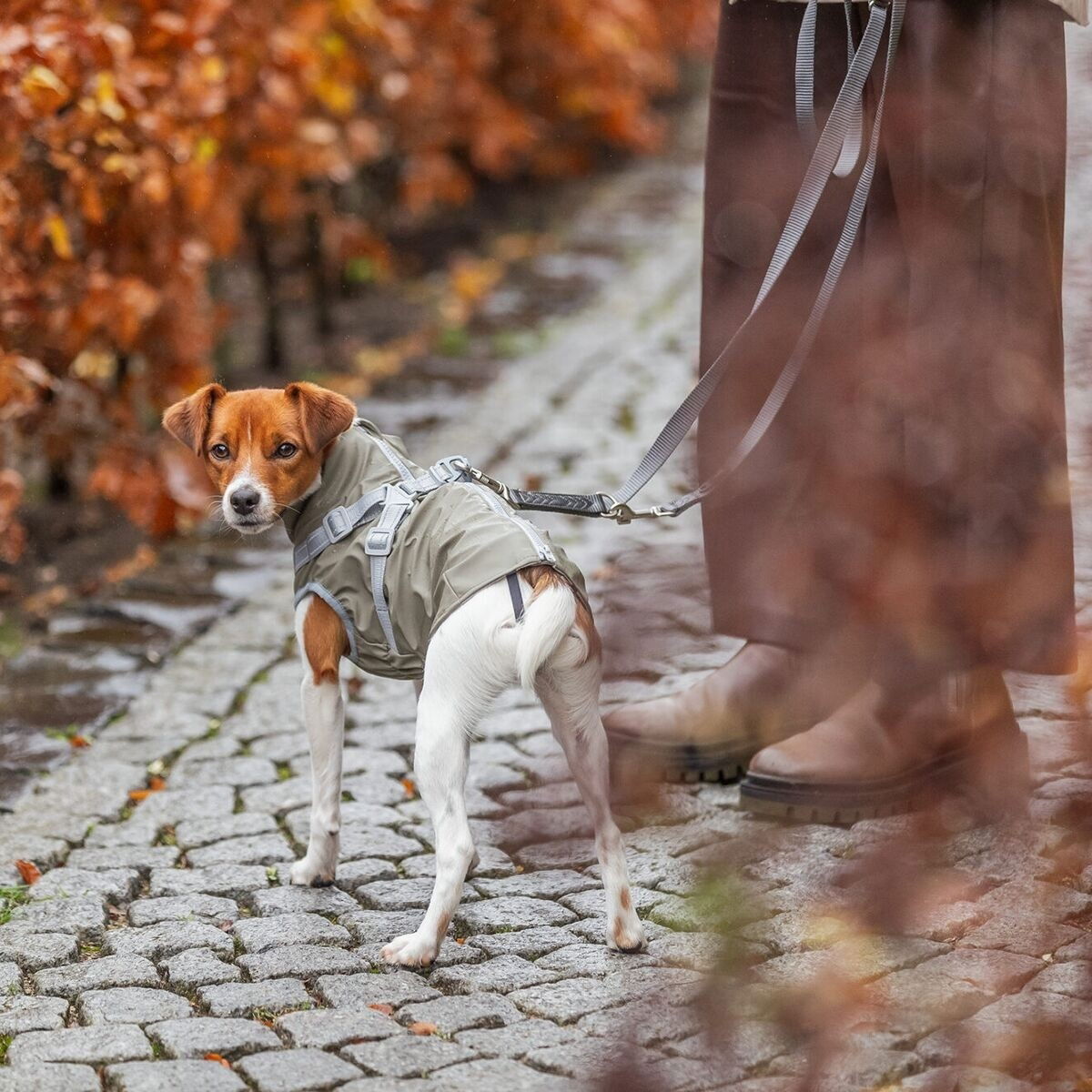 Trixie Pontis rain coat with harness, olive green