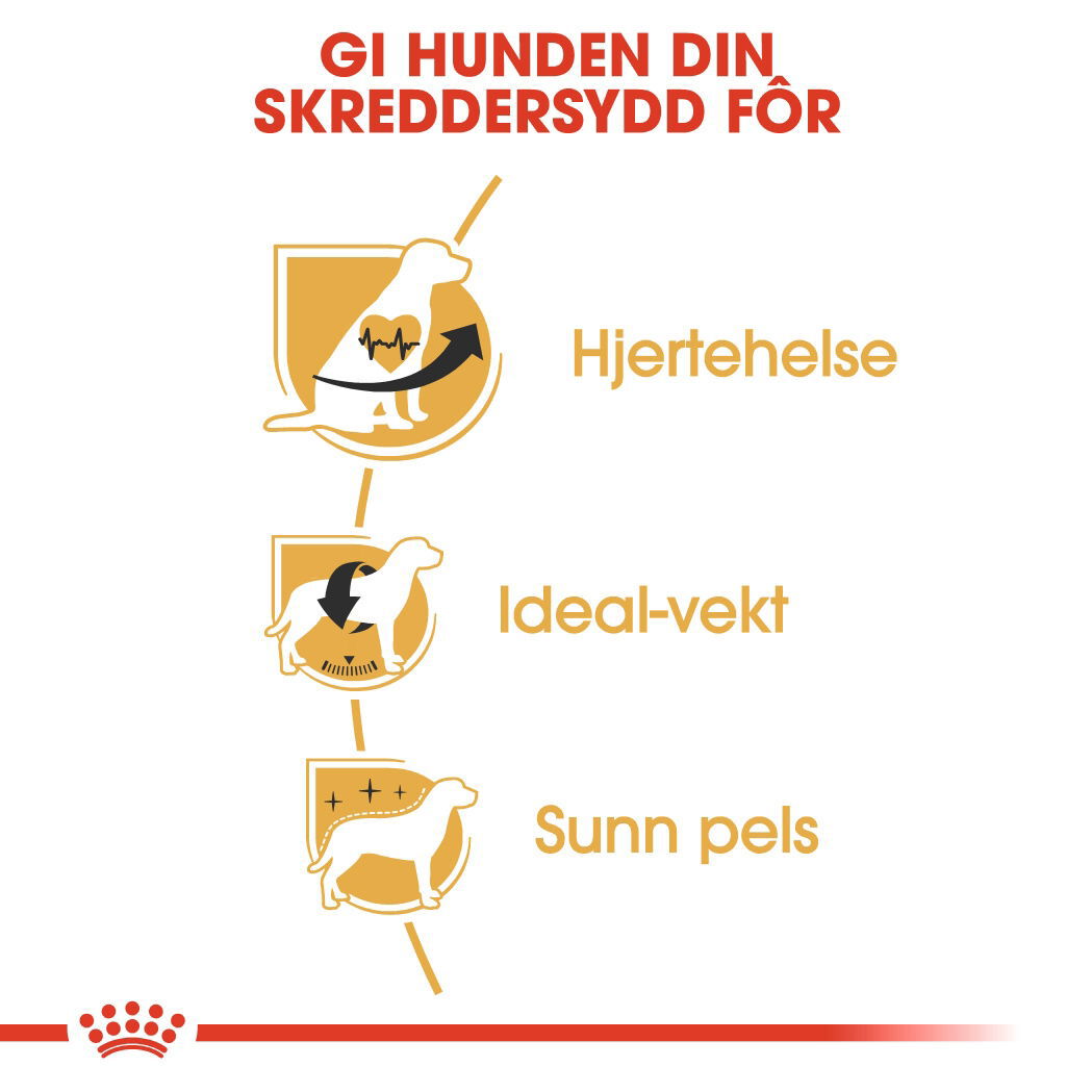 Royal Canin Cavalier King Charles Adult tørrfôr til hund