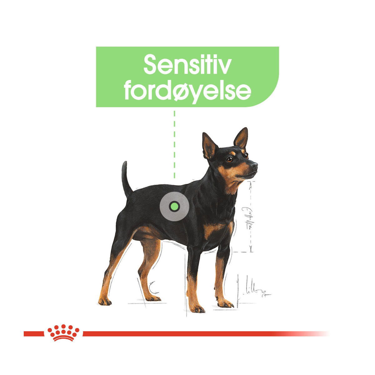 Royal Canin Mini Digestive Care