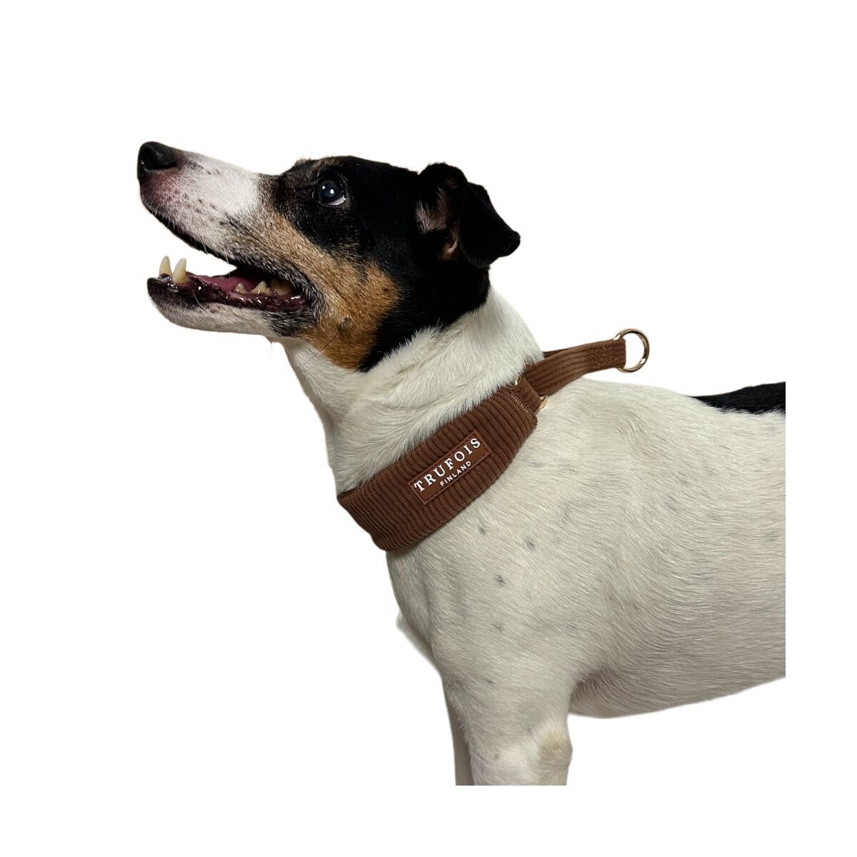 Trufois Wide Collar Macchiato Brown