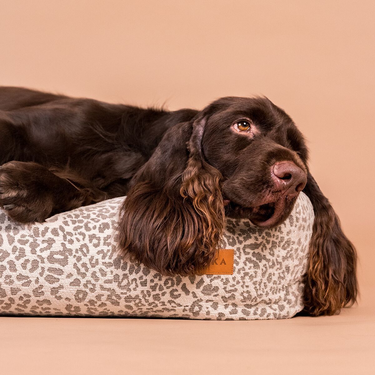 Dog matress PAIKKA Stone leo 