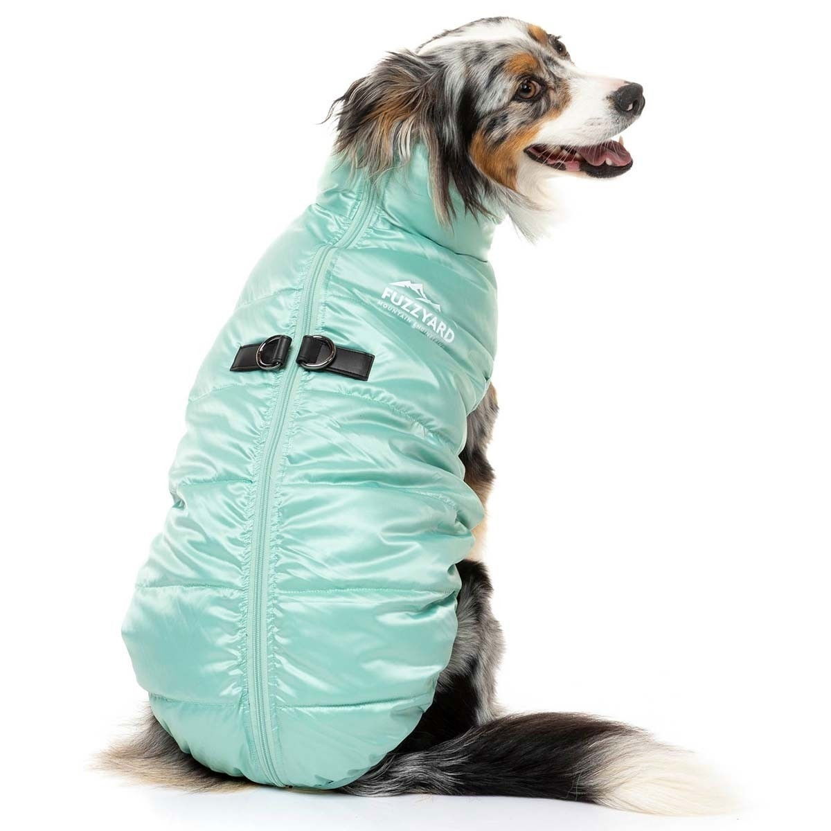 FuzzYard The Eastcoast Mint