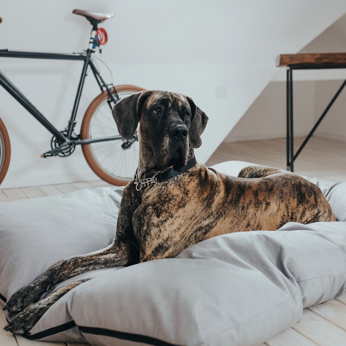 Hunter Dog Bed Lancaster Grey