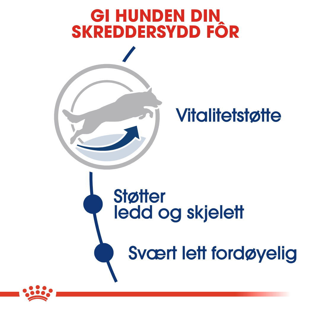 Royal Canin Maxi Adult 5+ tørrfôr til hund