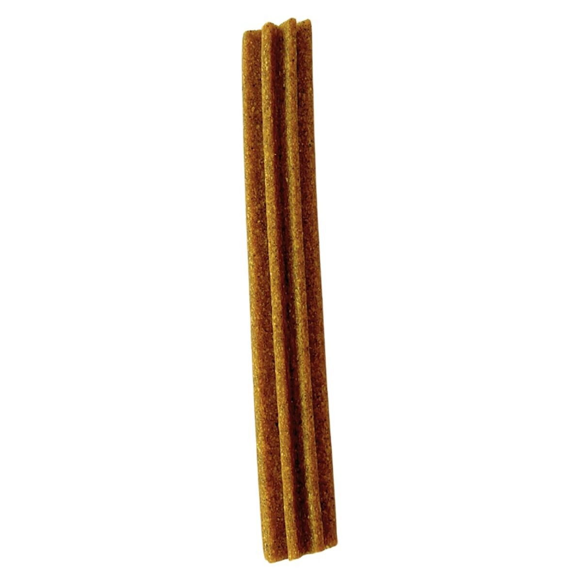 Buddy GF Veggie Dental Chew M