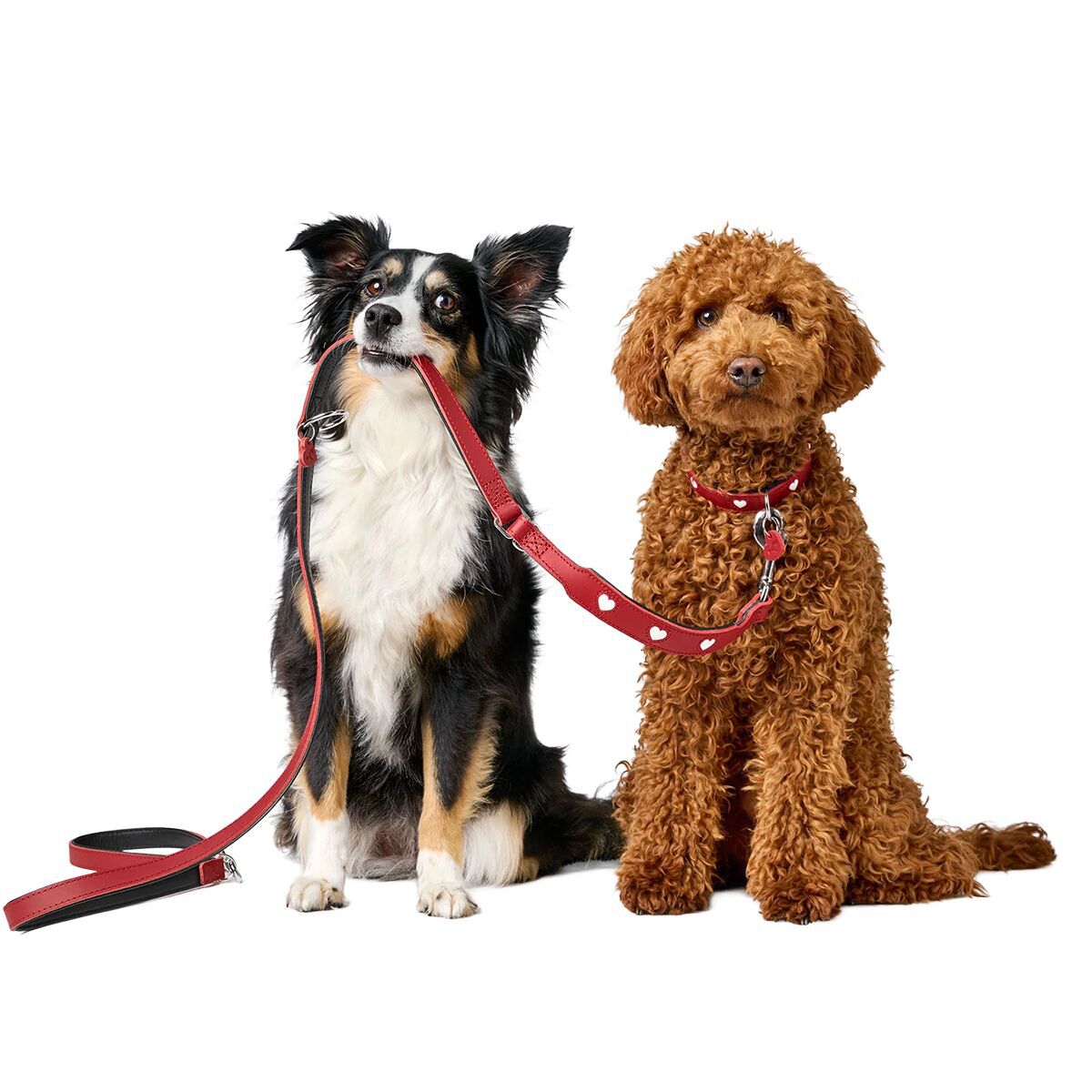 Hunter training leash Love Red