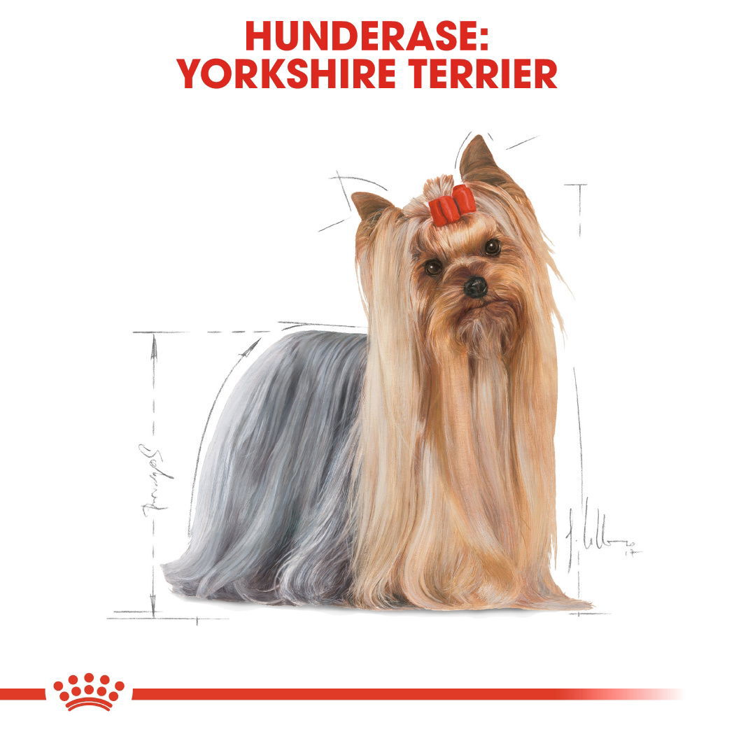 Royal Canin Yorkshire Terrier Adult tørrfôr til hund