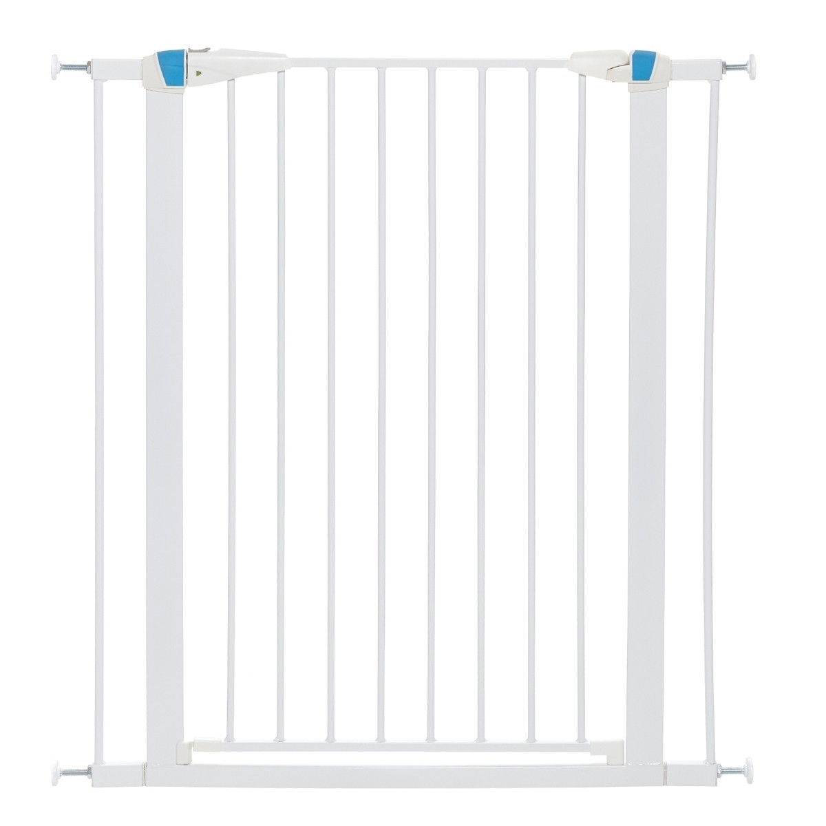 Koiraportti Midwest Glow, valkoinen