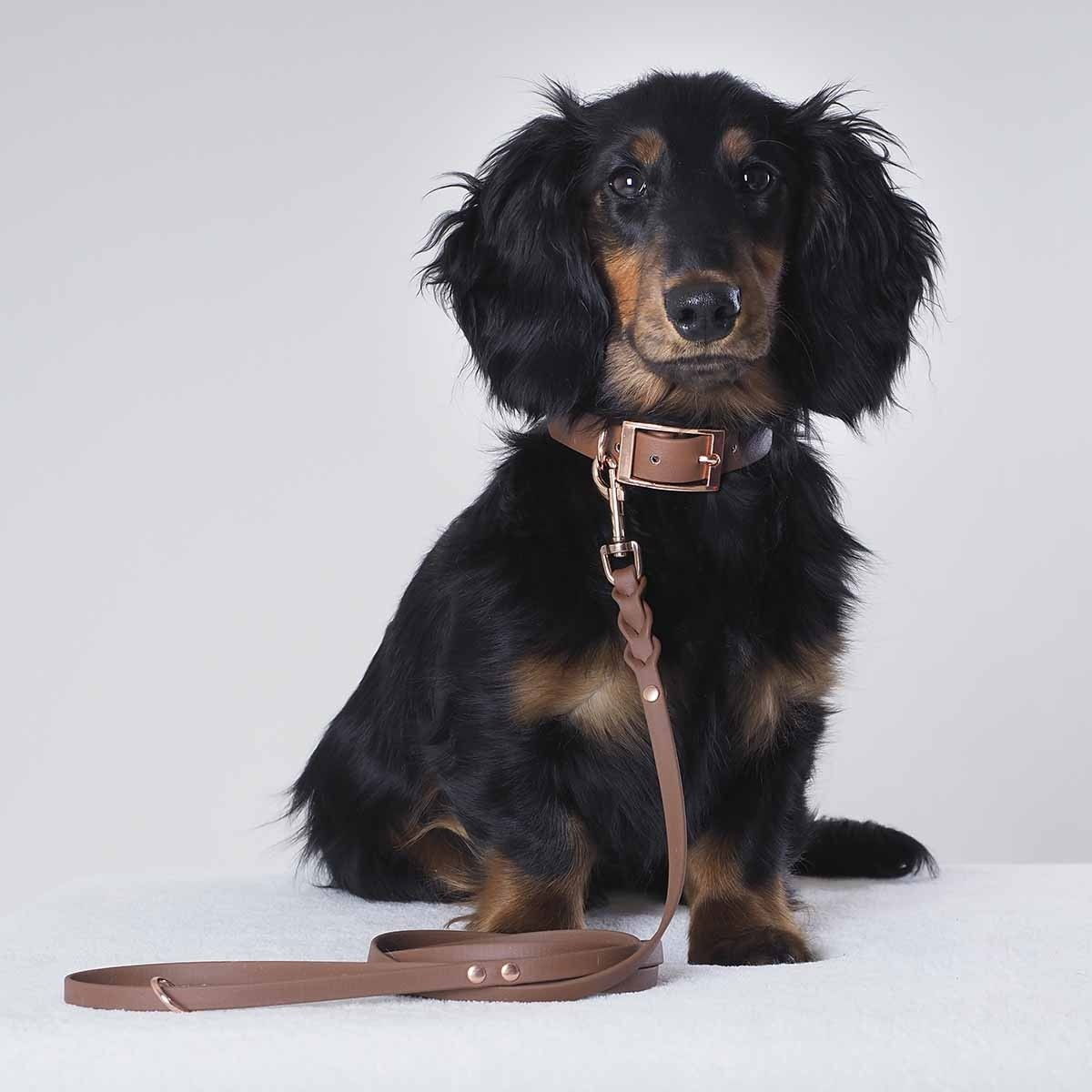 Tyylivoitto Classy narrow collar, brown