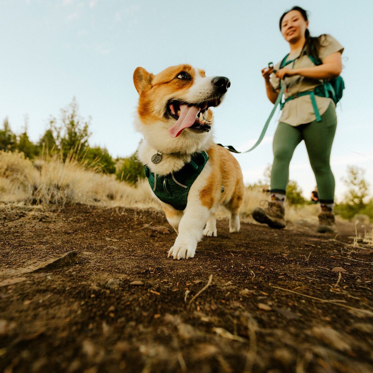 Ruffwear Front Range Flex Harness, Deep Teal