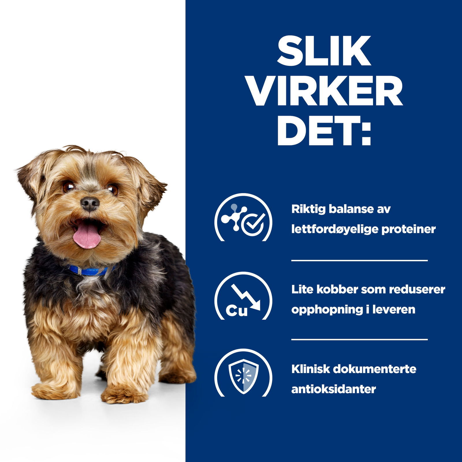 Hills Diet Dog l/d 2kg