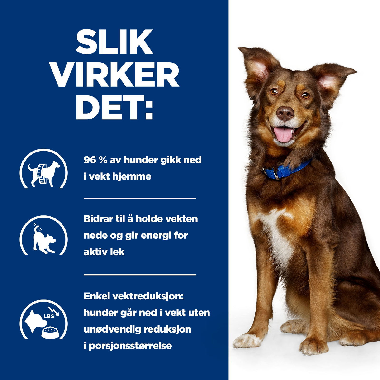 Hill's Prescription Diet Canine Metabolic Lamb & Rice