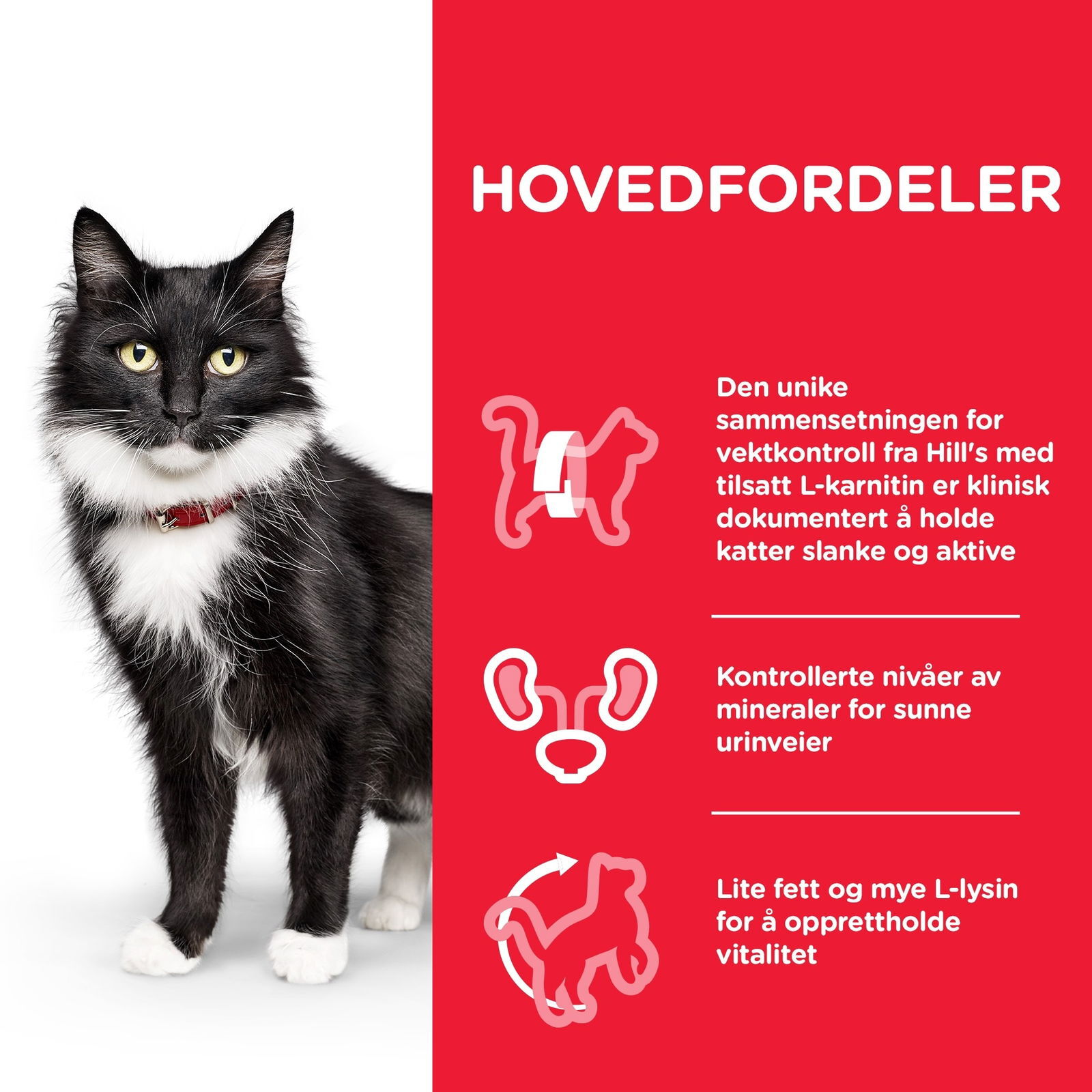 Hills Science Plan Feline Mature Sterilised