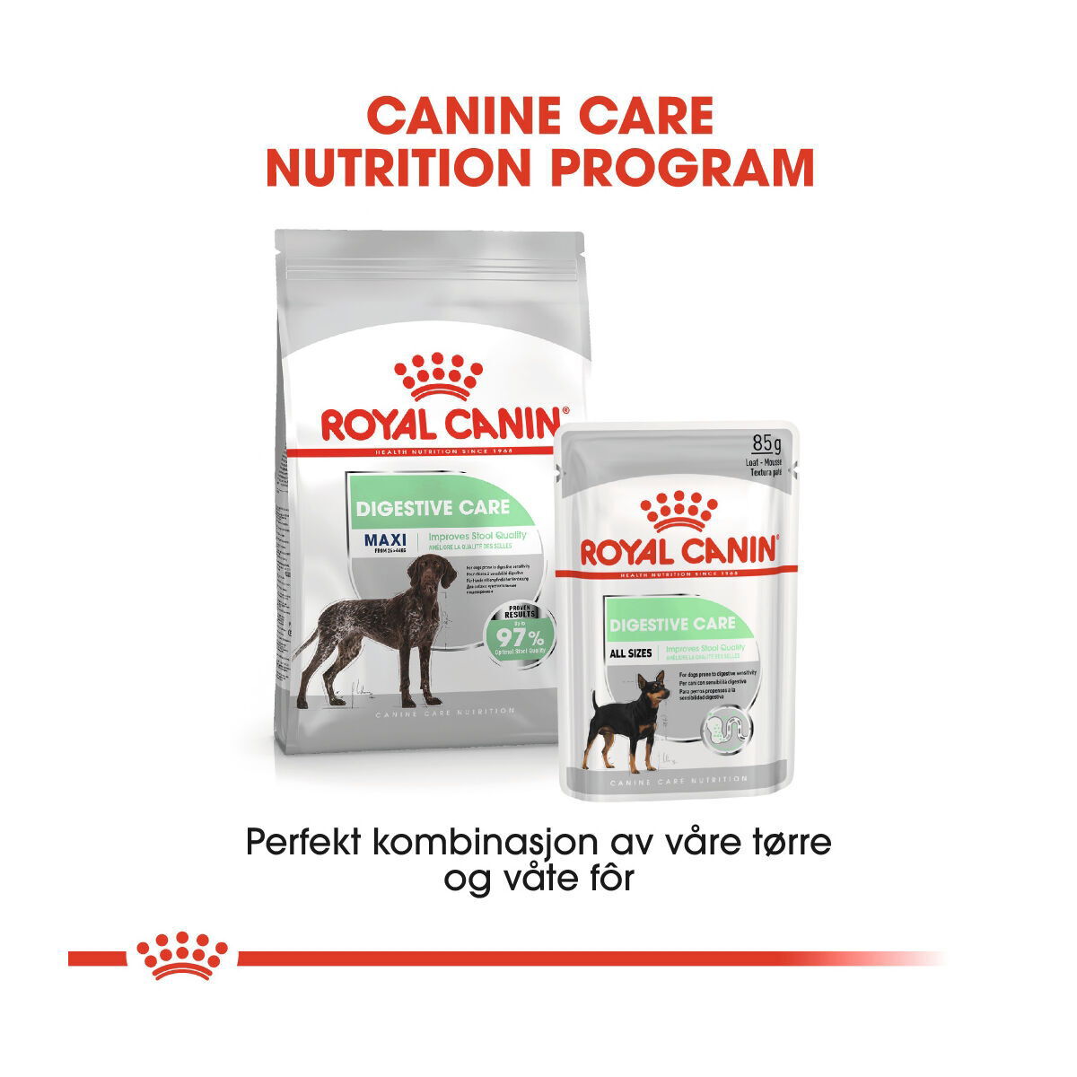 Royal Canin Maxi Digestive Care