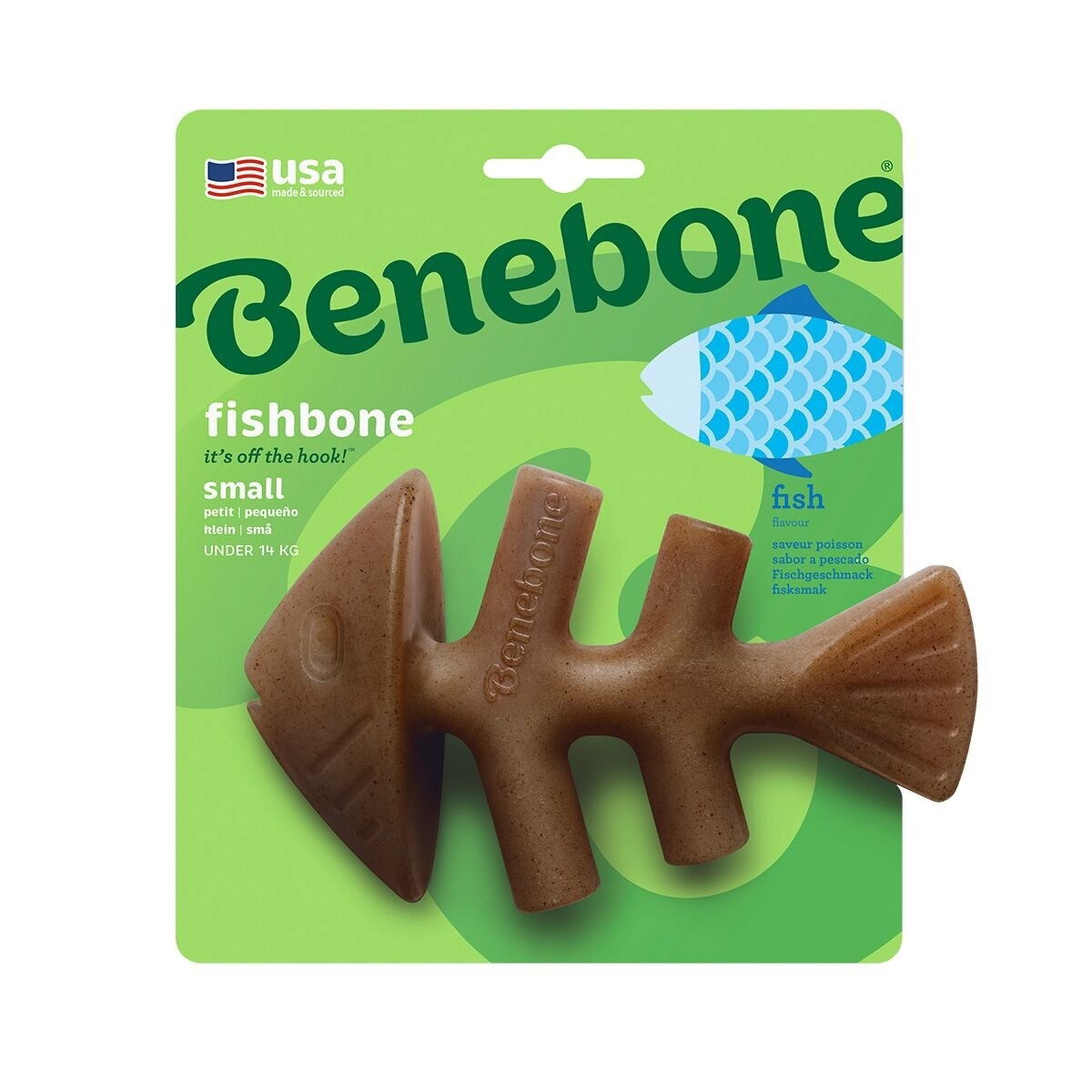 BB Fishbone