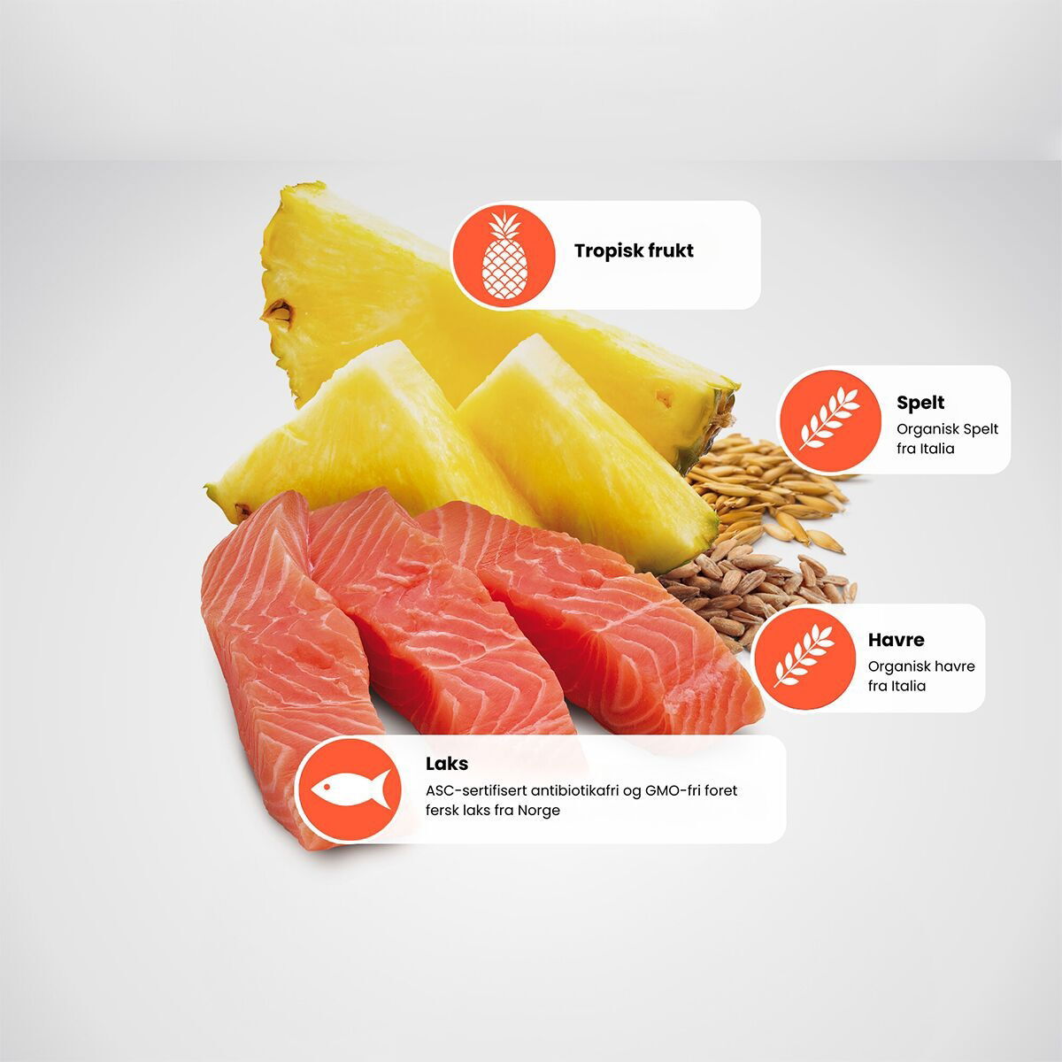 N&D Dog Tropical Salmon Small 1,5kg