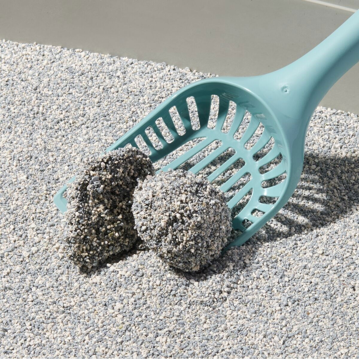 Compact Care Probiotic Flower 10l