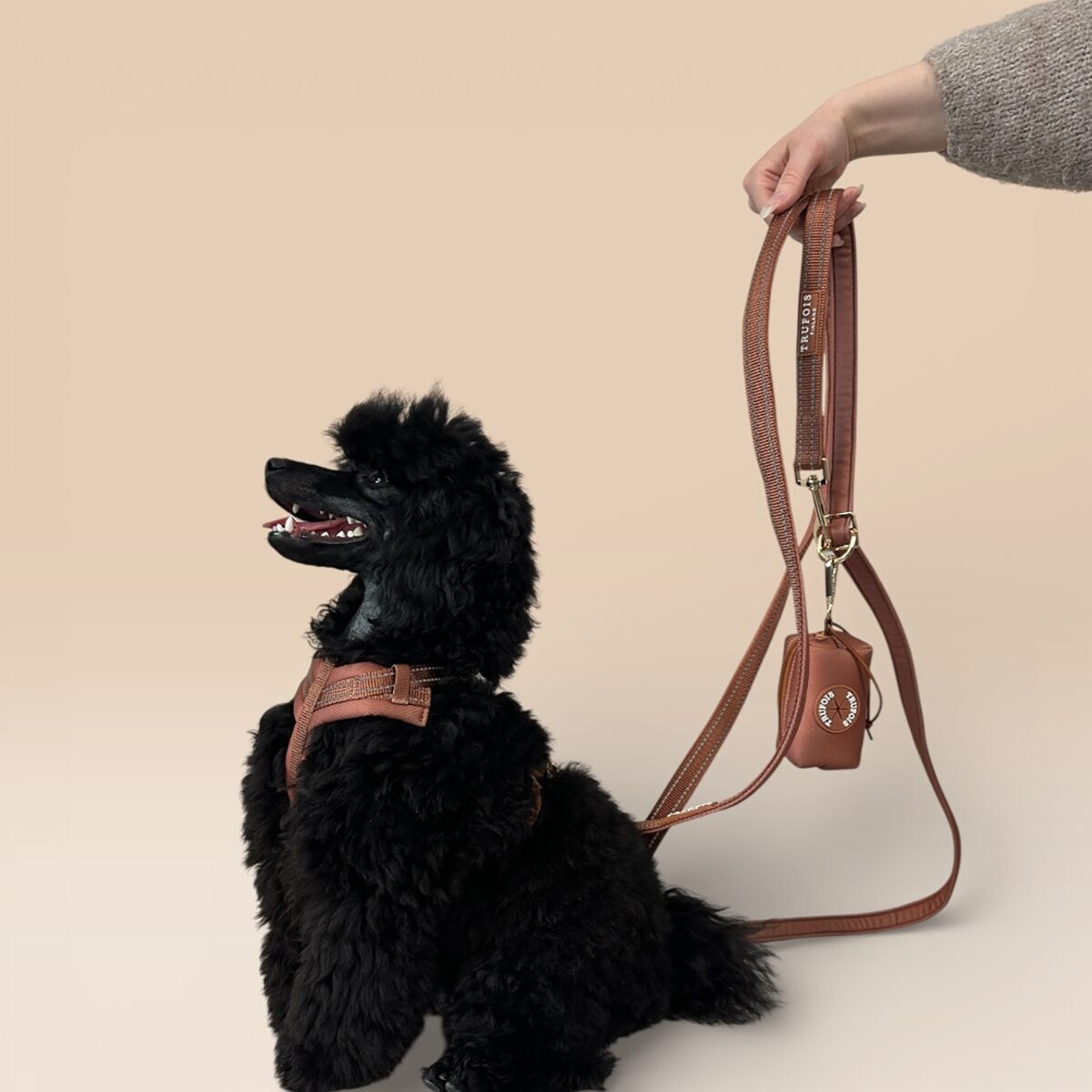 Trufois Adjustable Leash Brown