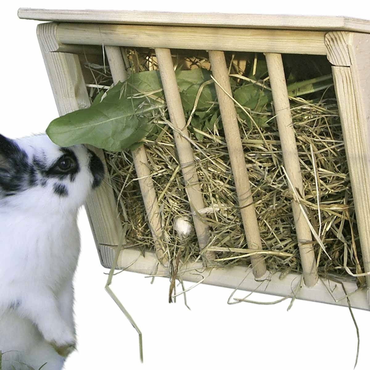 Høyholder me lokk
