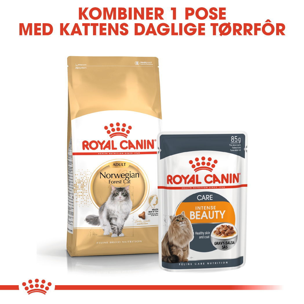 Royal Canin Norwegian Forest Adult tørrfôr til katt