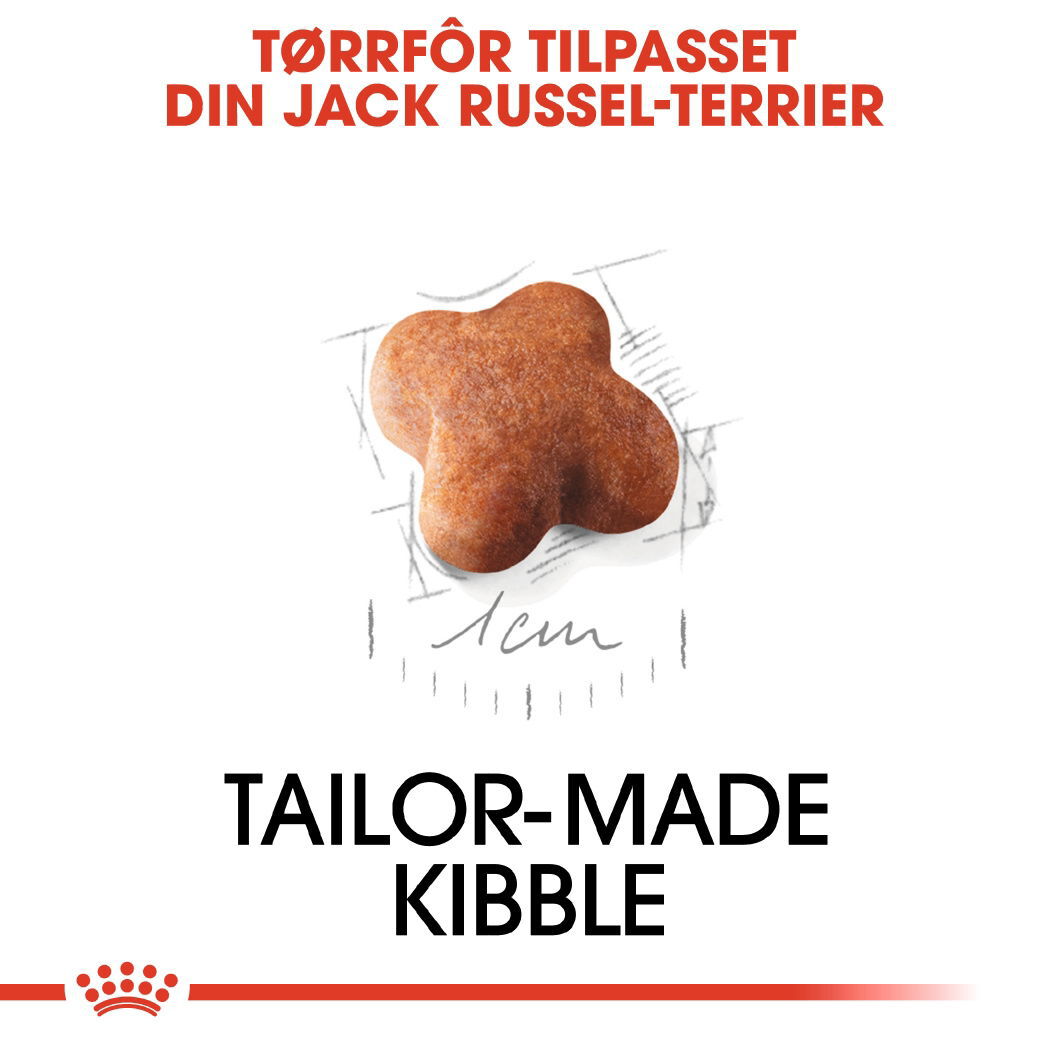 Royal Canin Jack Russel Puppy tørrfôr til hundvalp