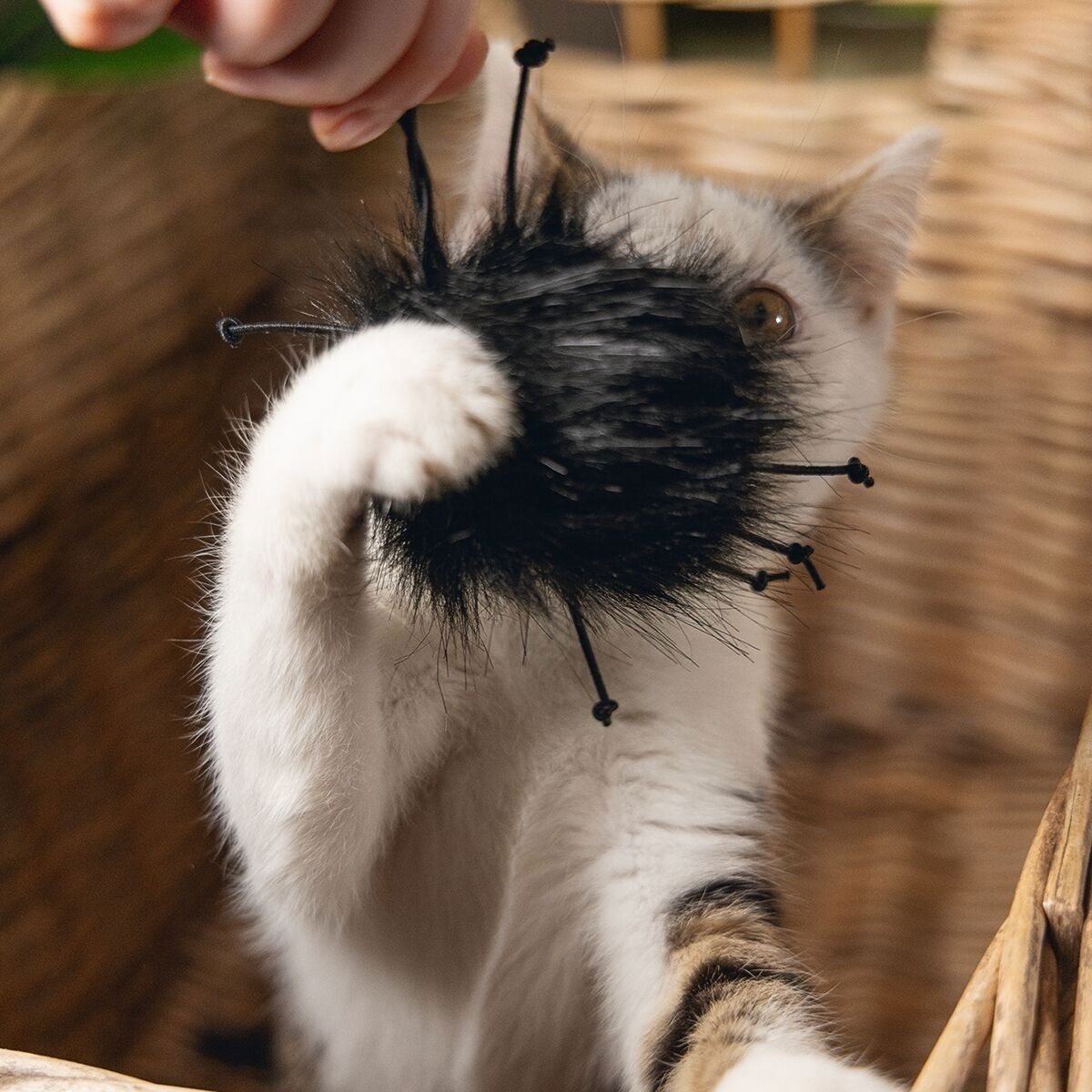 Beeztees Jungle Cat Spider Sila