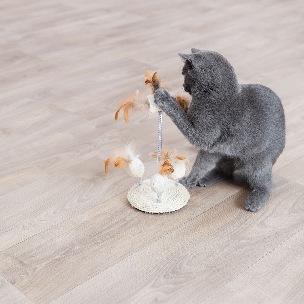 Kattleksak sisal/fjäderleksaker på platta