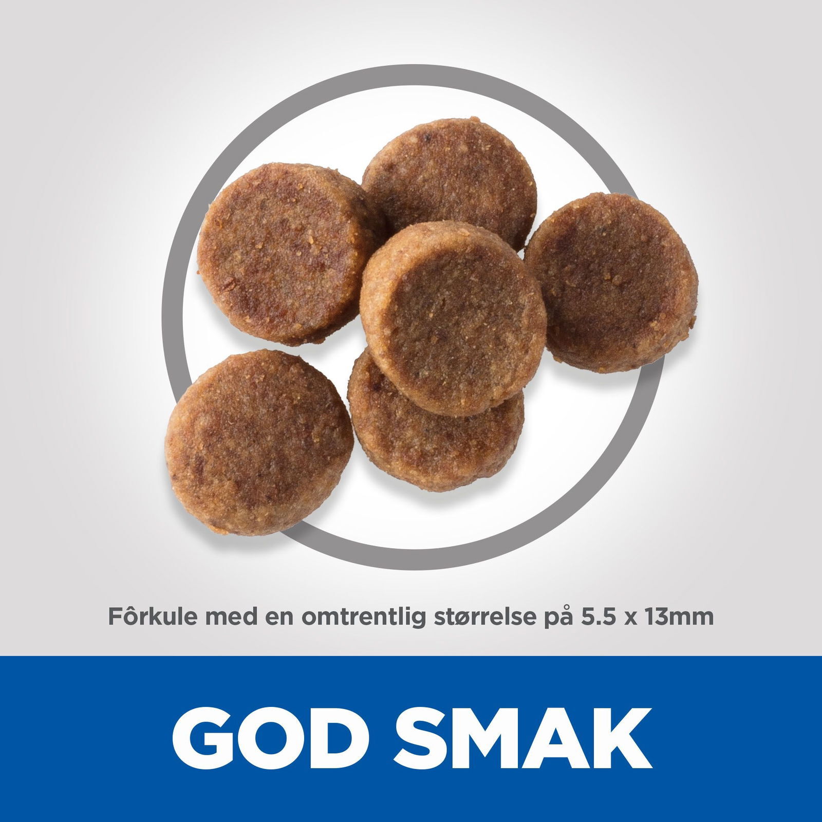 Hill's Science Plan Dog Puppy Large Breed