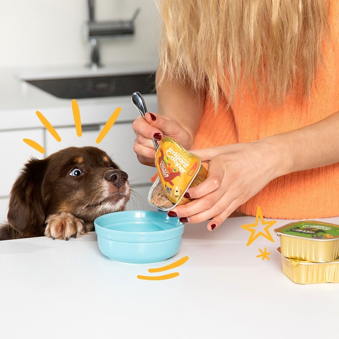 Edgard & Cooper Dog Multipac 4x300g